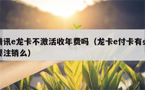 腾讯e龙卡不激活收年费吗（龙卡e付卡有必要注销么）