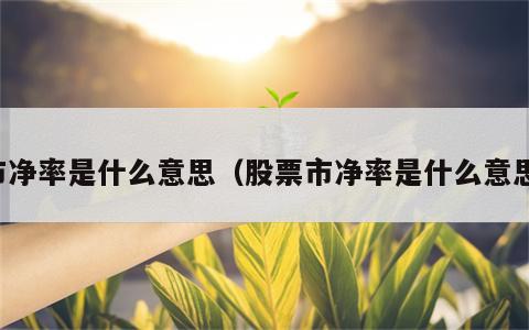 市净率是什么意思（股票市净率是什么意思）