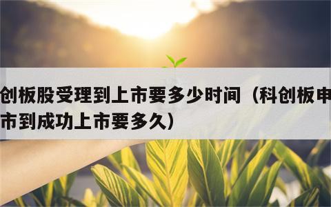 科创板股受理到上市要多少时间（科创板申请上市到成功上市要多久）