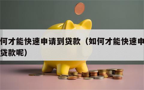 如何才能快速申请到贷款（如何才能快速申请到贷款呢）