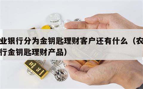 农业银行分为金钥匙理财客户还有什么（农业银行金钥匙理财产品）