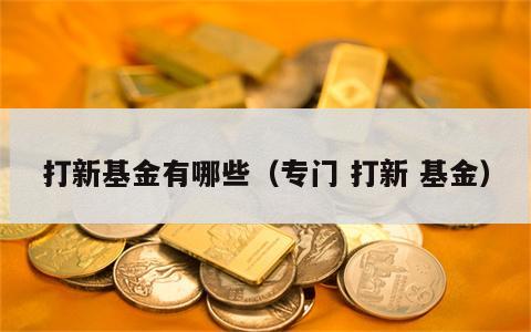 打新基金有哪些（专门 打新 基金）