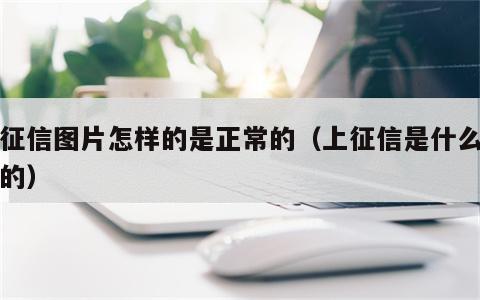 上征信图片怎样的是正常的（上征信是什么样子的）