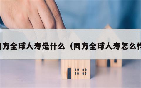 同方全球人寿是什么（同方全球人寿怎么样）