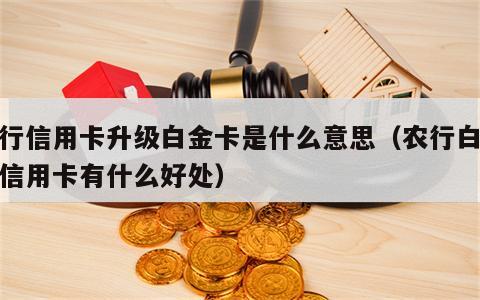 农行信用卡升级白金卡是什么意思（农行白金卡信用卡有什么好处）