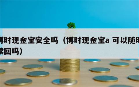 博时现金宝安全吗（博时现金宝a 可以随时赎回吗）