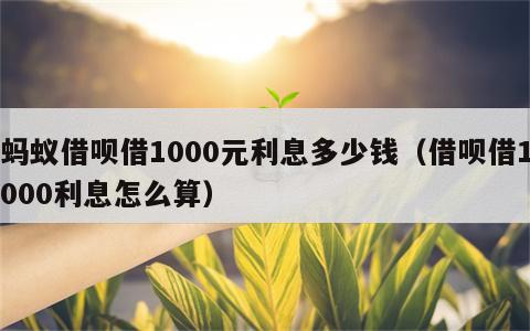 蚂蚁借呗借1000元利息多少钱（借呗借1000利息怎么算）