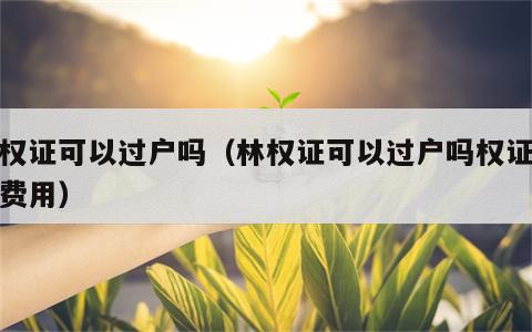 林权证可以过户吗（林权证可以过户吗权证过户费用）