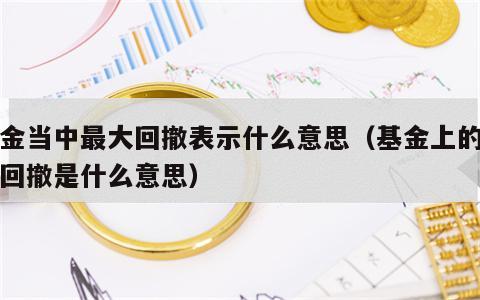 基金当中最大回撤表示什么意思（基金上的最大回撤是什么意思）