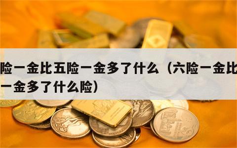 六险一金比五险一金多了什么（六险一金比五险一金多了什么险）