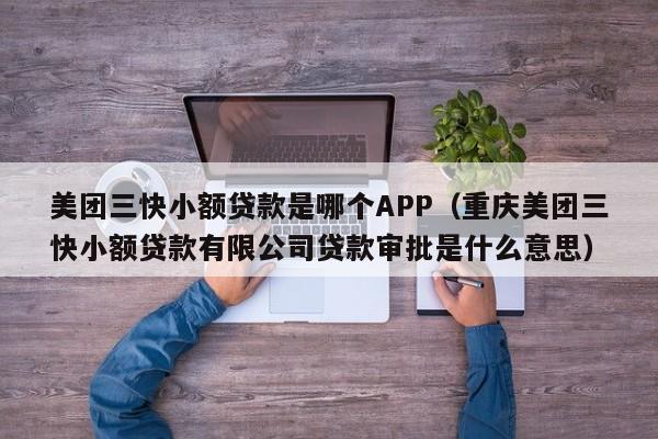 美团三快小额贷款是哪个APP（重庆美团三快小额贷款有限公司贷款审批是什么意思）