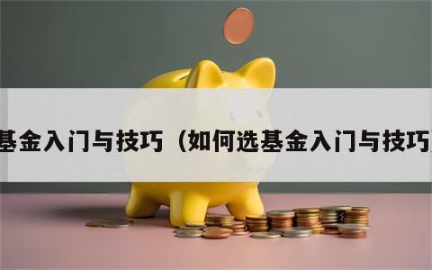 基金入门与技巧（如何选基金入门与技巧）