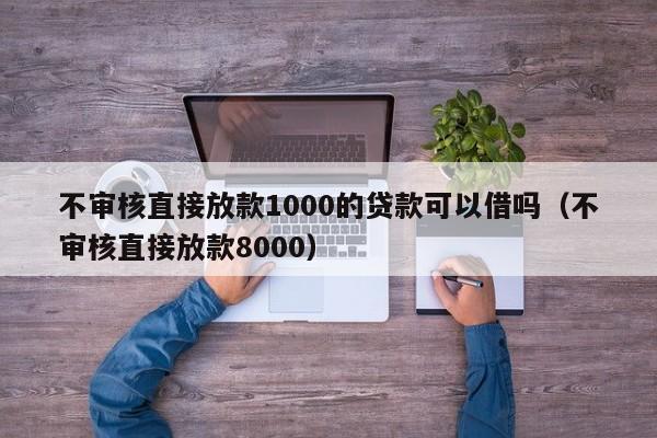 不审核直接放款1000的贷款可以借吗（不审核直接放款8000）