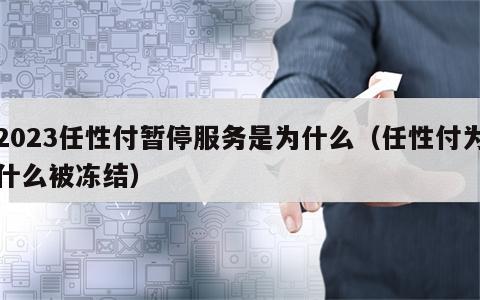 2023任性付暂停服务是为什么（任性付为什么被冻结）